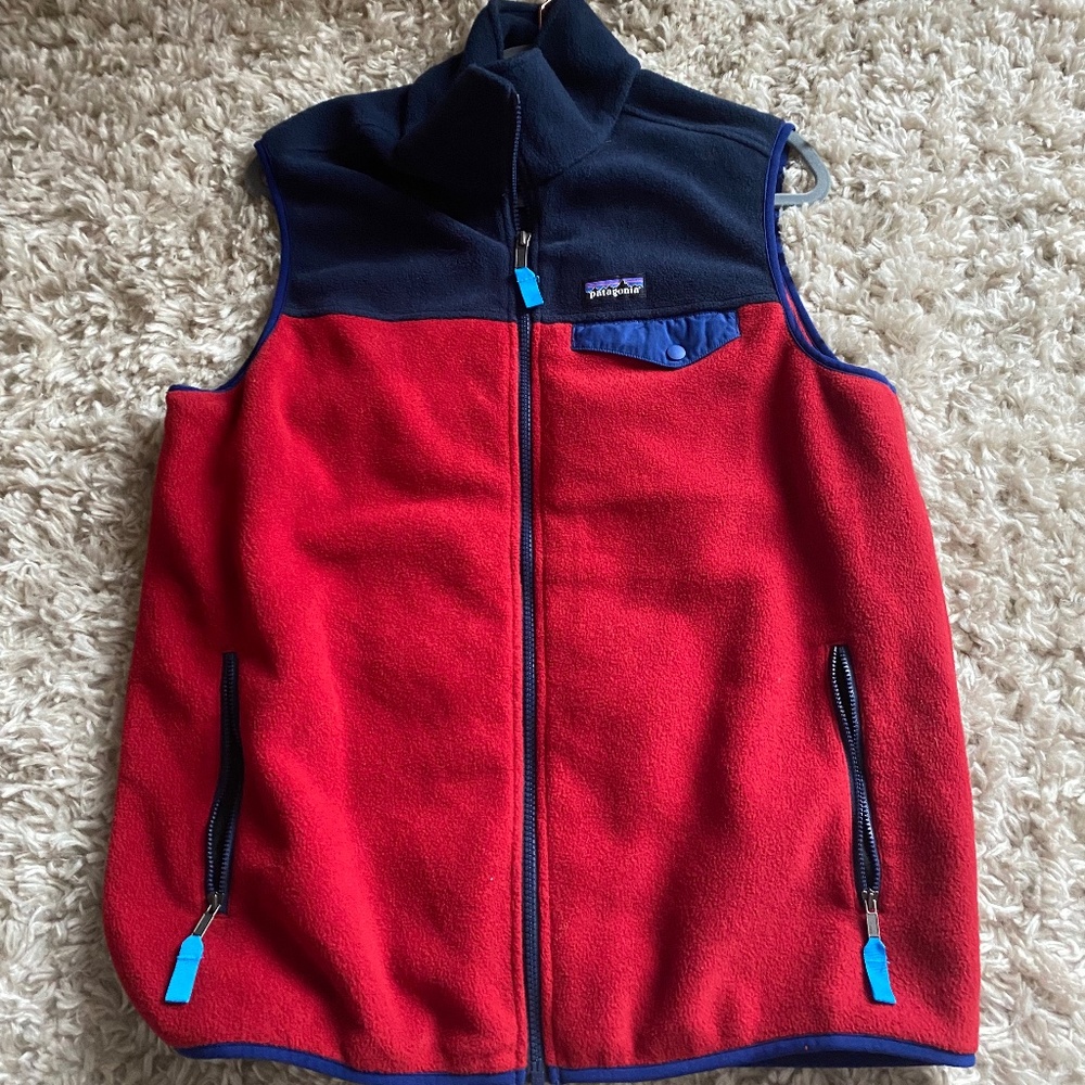 Men's Patagonia Vest